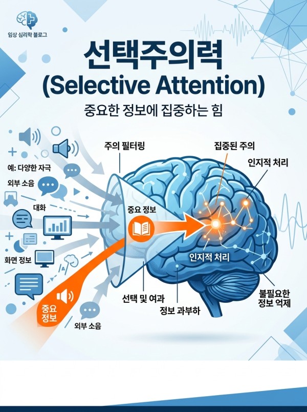선택주의력 검사 결과 해석 및 활용